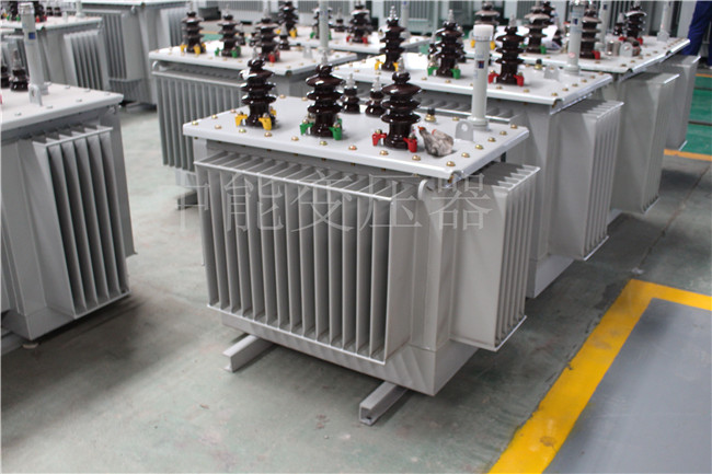 德宏S22-100KVA/10KV/0.4KV变压器